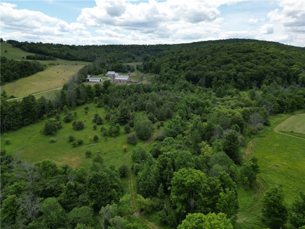 2797 Gunn Road Troupsburg, NY 14885 - Photo 46 of 50