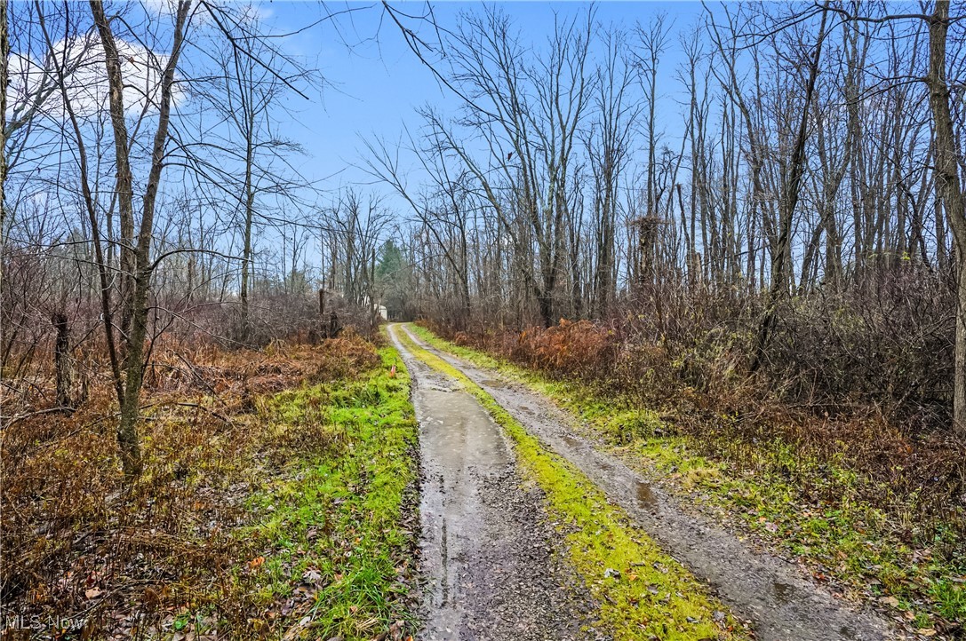 10018 Nichols Road Windham, OH 44288 - Photo 28 of 30 Gallery Image 28