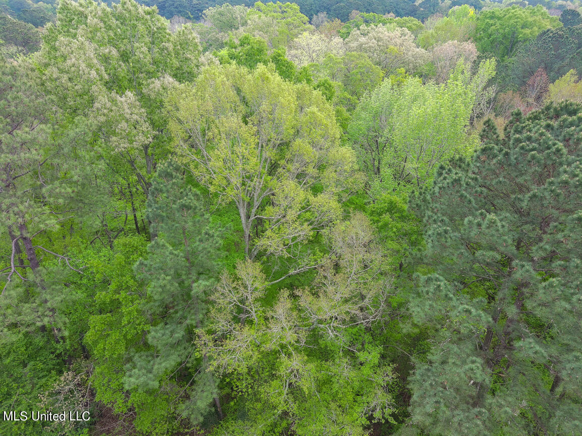 3 Little Creek Road Flowood, MS 39232 - Photo 54 of 58 3 Little Creek drone Final-10