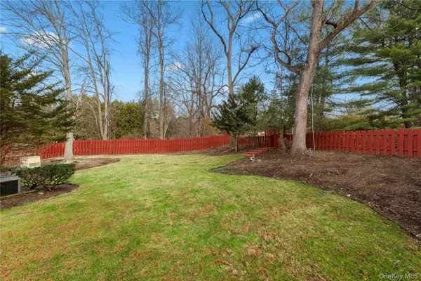 a view of a yard with plants and trees