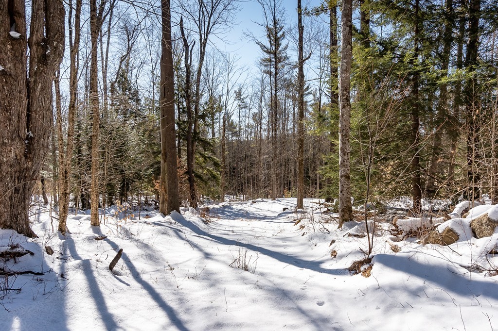 0 Brown Road Royalston, MA 01368 - Photo 10 of 16 Gallery Image 10