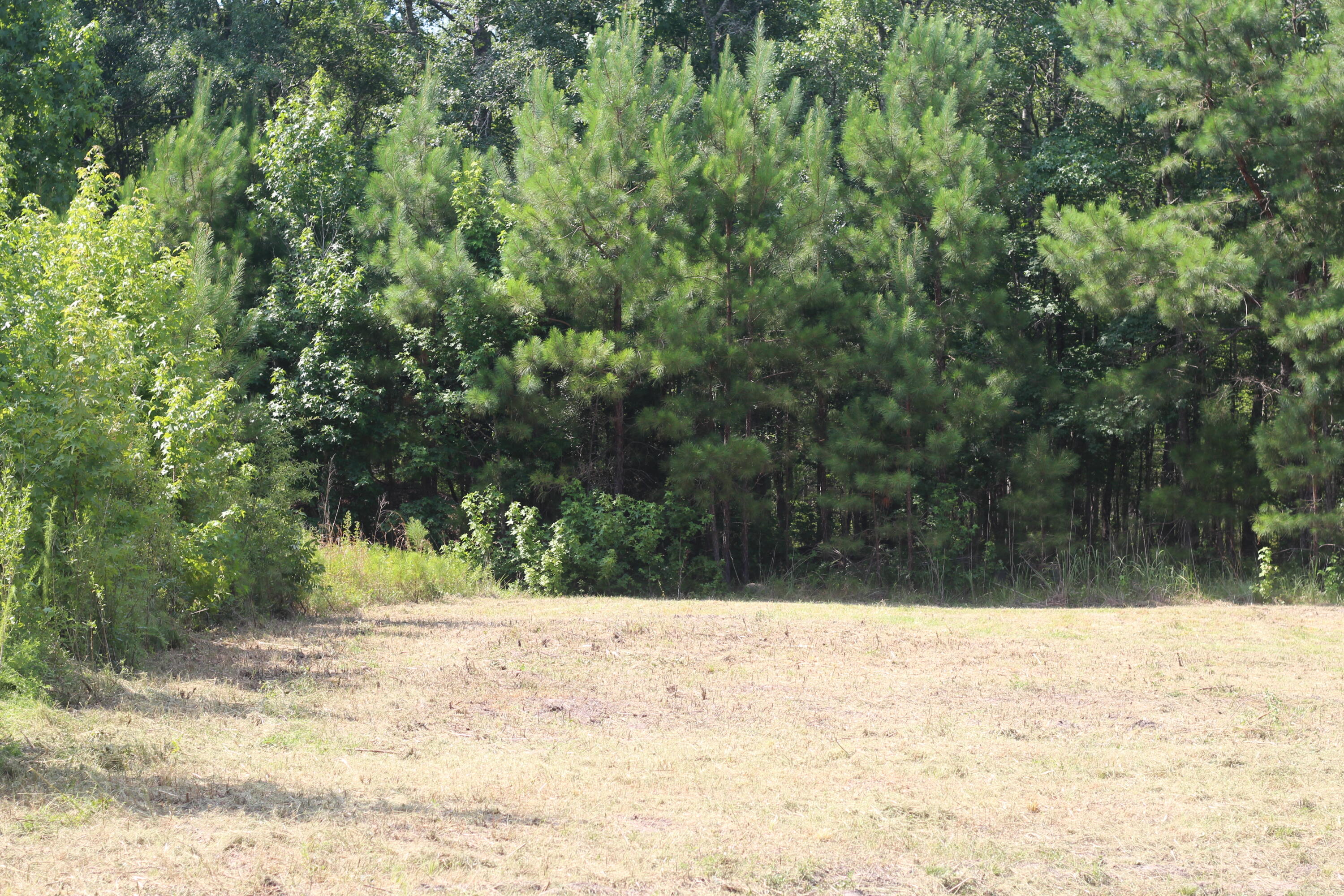0 Old Forreston Road Greeleyville, SC 29056 - Photo 59 of 81 IMG_8324