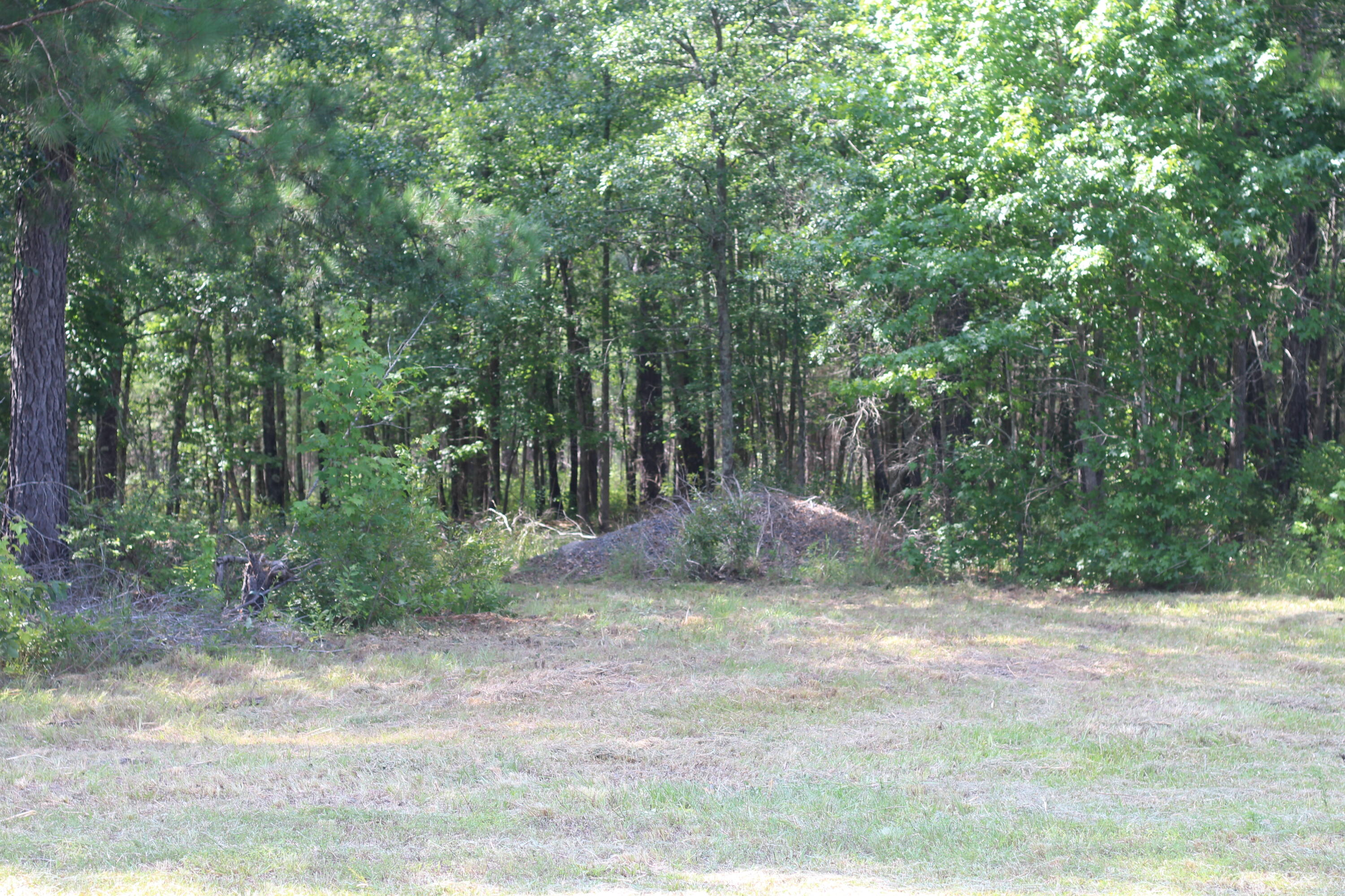 0 Old Forreston Road Greeleyville, SC 29056 - Photo 62 of 81 IMG_8328