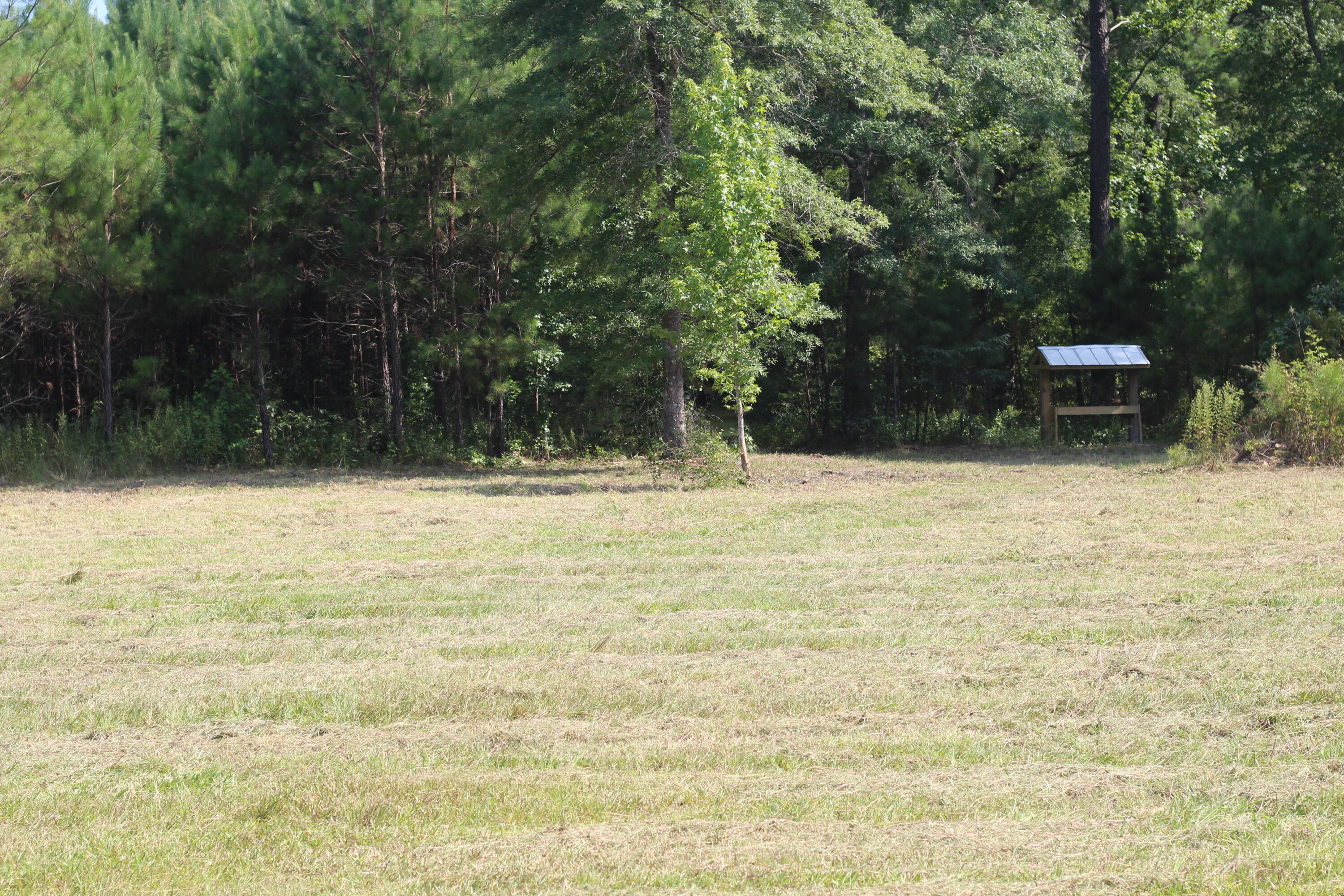 0 Old Forreston Road Greeleyville, SC 29056 - Photo 65 of 81 IMG_8331