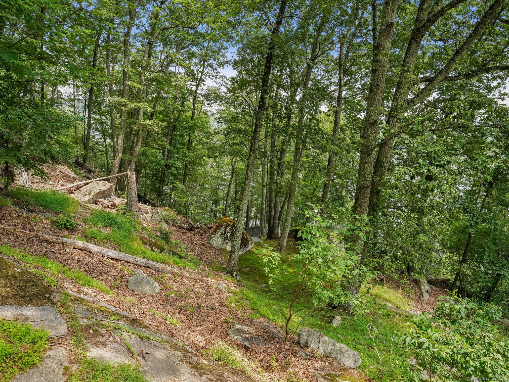 89 Wood Creek Road New Fairfield, CT 06812 - Photo 31 of 39