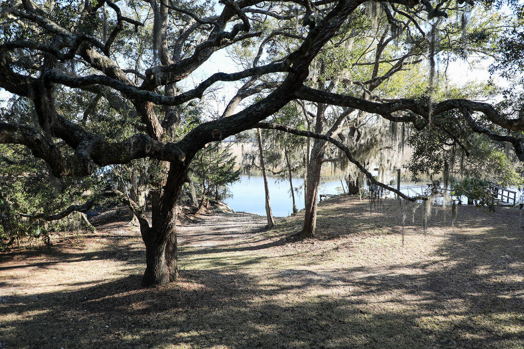 8513 Oyster Factory Road Edisto Island, SC 29438 - Photo 13 of 100 170A7715