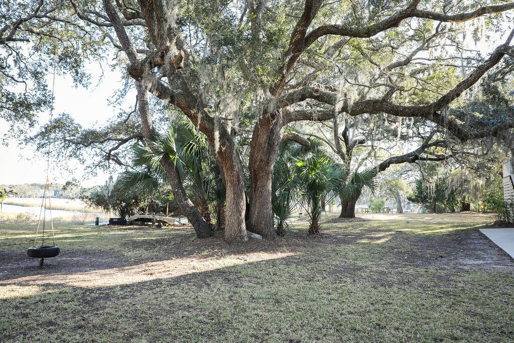 8513 Oyster Factory Road Edisto Island, SC 29438 - Photo 76 of 100 170A7759