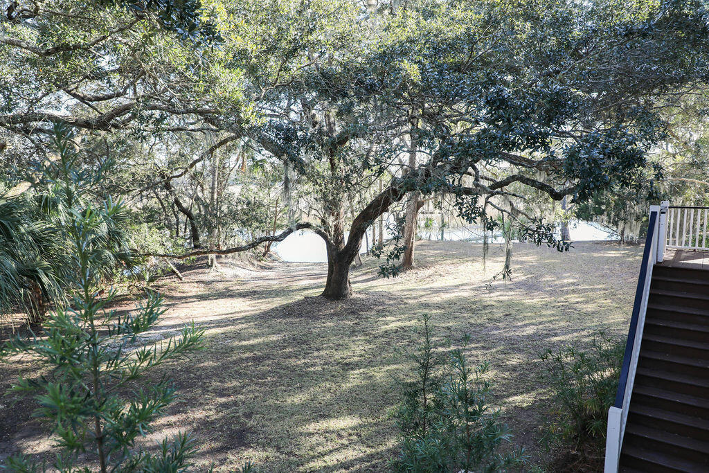 8513 Oyster Factory Road Edisto Island, SC 29438 - Photo 89 of 100 170A7736