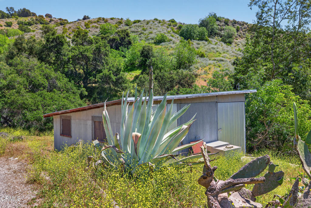 8416 Wheeler Canyon Road Santa Paula, CA 93060 - Photo 43 of 48 a view of a backyard