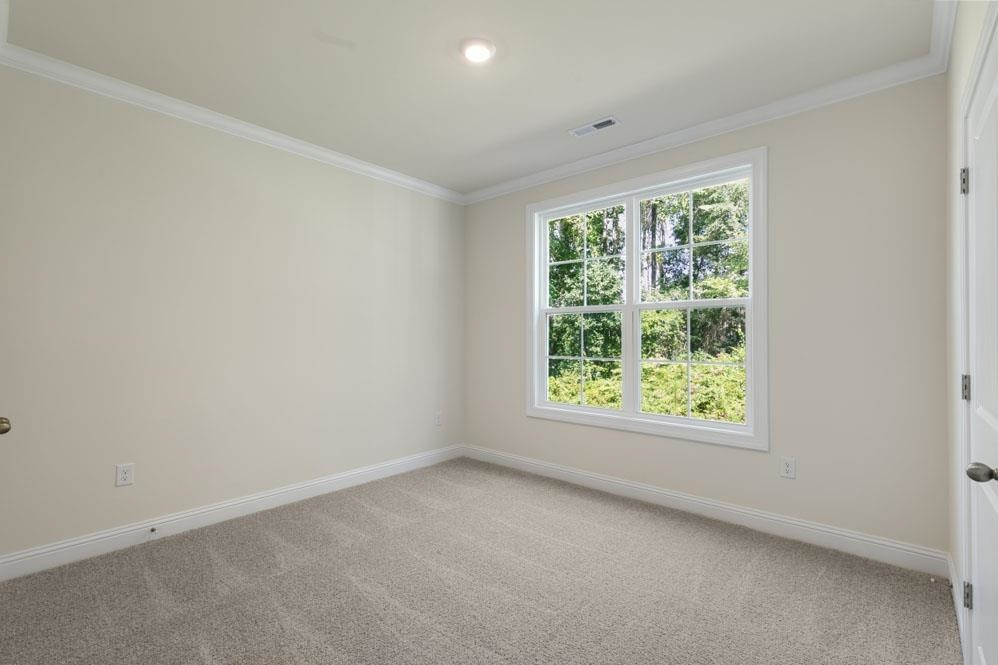 5129 Lizard Tail Lane Raleigh, NC 27603 - Photo 21 of 49 an empty room with windows