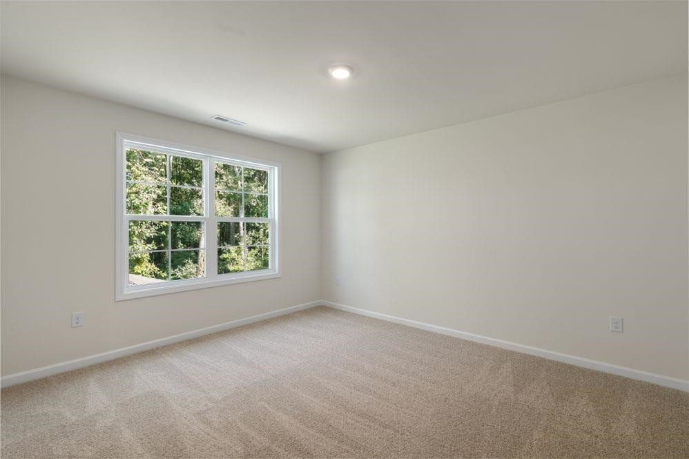 5129 Lizard Tail Lane Raleigh, NC 27603 - Photo 28 of 49 an empty room with windows