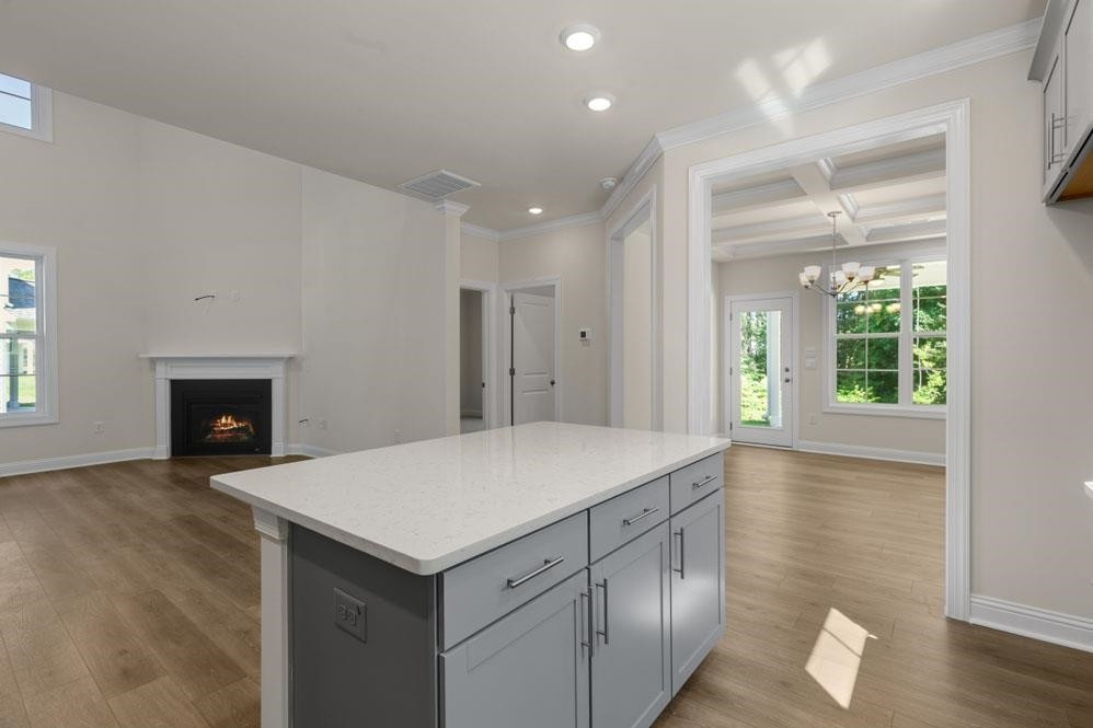 5129 Lizard Tail Lane Raleigh, NC 27603 - Photo 31 of 49 a kitchen with a sink and a fireplace