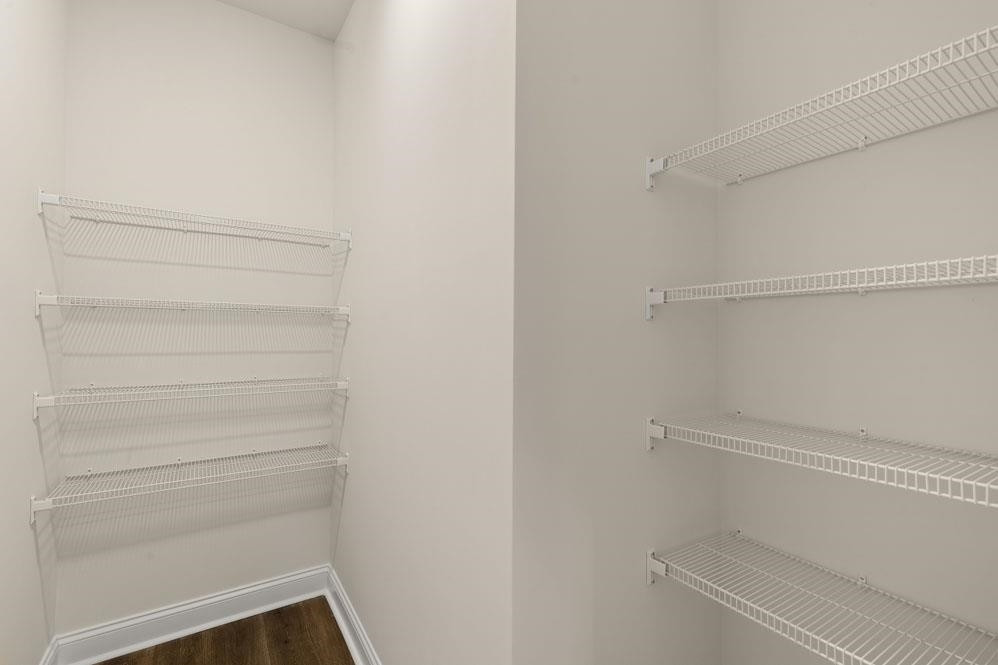 5129 Lizard Tail Lane Raleigh, NC 27603 - Photo 34 of 49 a view of an empty walk in closet