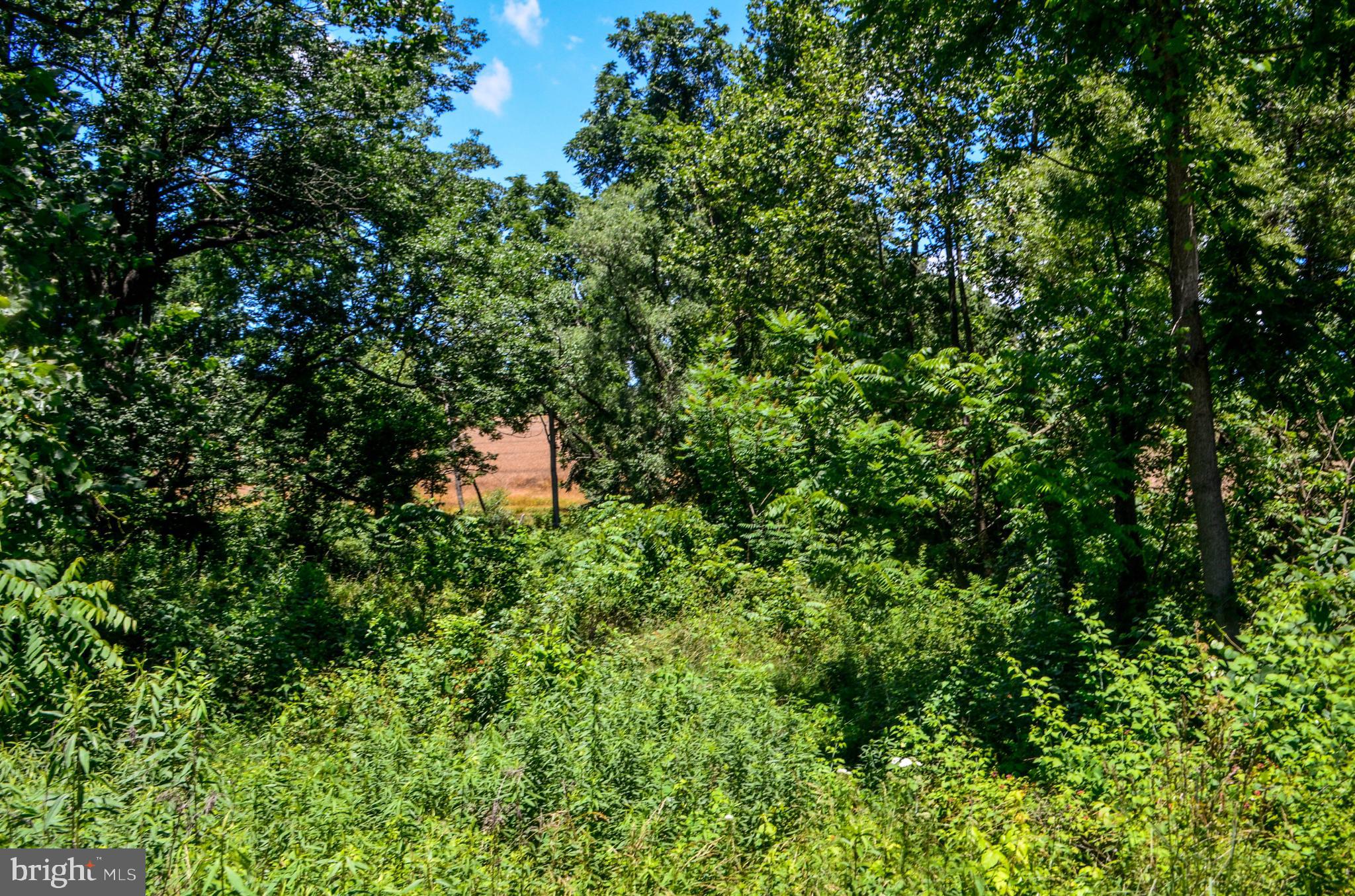Lot 13 Furnace Road York, PA 17406 - Photo 5 of 10 Gallery Image 5