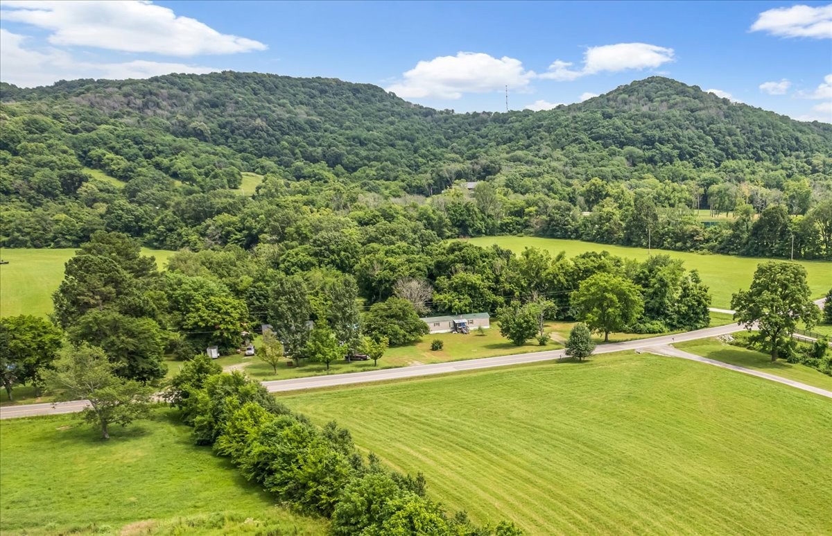 4364 Peytonsville-Trinity Road Franklin, TN 37064 - Photo 5 of 16