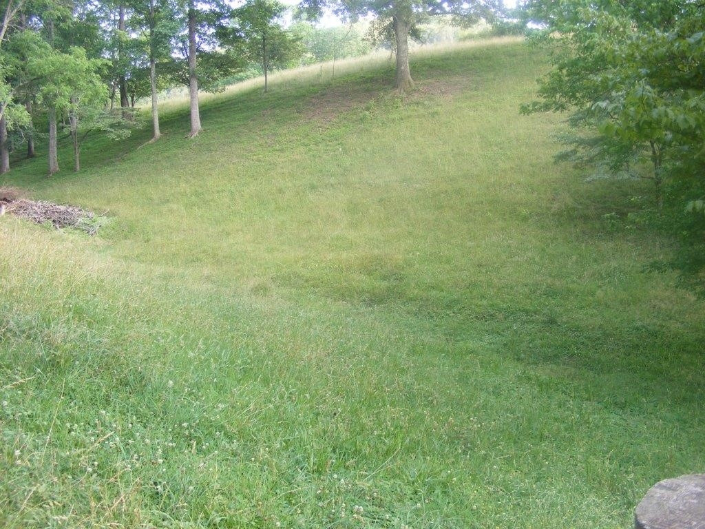 760 Bell Ridge Road Kingsport, TN 37660 - Photo 27 of 34 Massive Yard