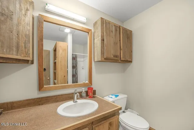 $2,600,000 | 115 Wilderness Run, Hattiesburg, MS 39401