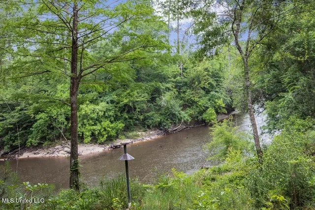 $2,600,000 | 115 Wilderness Run, Hattiesburg, MS 39401