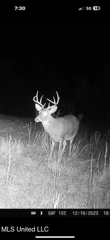 $2,600,000 | 115 Wilderness Run, Hattiesburg, MS 39401