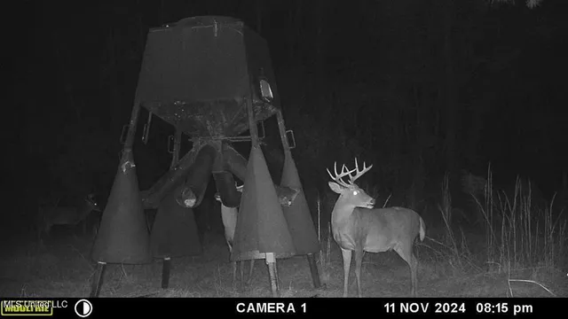 $2,600,000 | 115 Wilderness Run, Hattiesburg, MS 39401