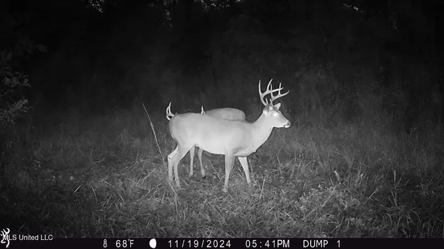 $2,600,000 | 115 Wilderness Run, Hattiesburg, MS 39401