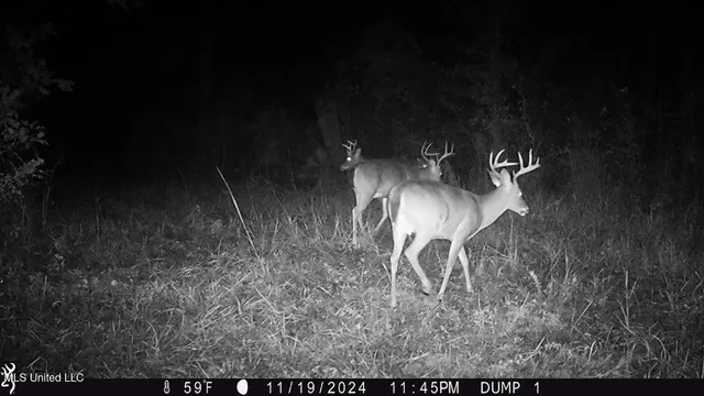 $2,600,000 | 115 Wilderness Run, Hattiesburg, MS 39401