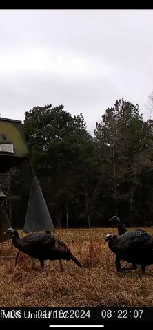 $2,600,000 | 115 Wilderness Run, Hattiesburg, MS 39401