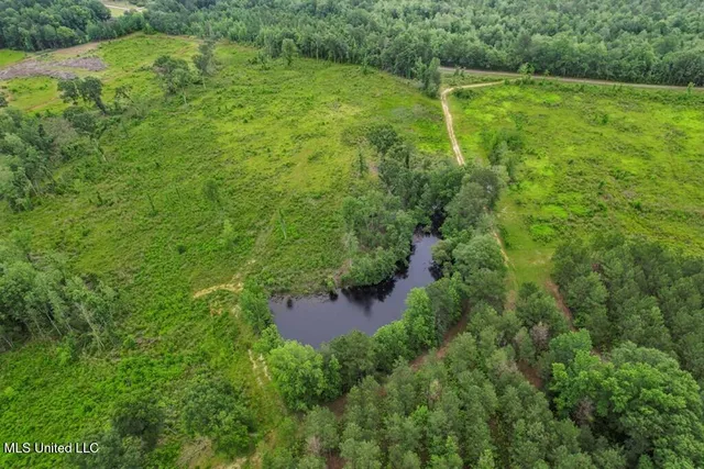 $2,600,000 | 115 Wilderness Run, Hattiesburg, MS 39401