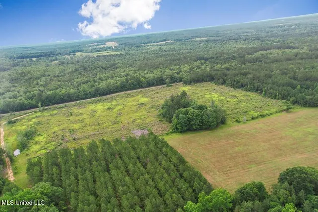 $2,600,000 | 115 Wilderness Run, Hattiesburg, MS 39401