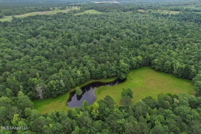 $2,600,000 | 115 Wilderness Run, Hattiesburg, MS 39401