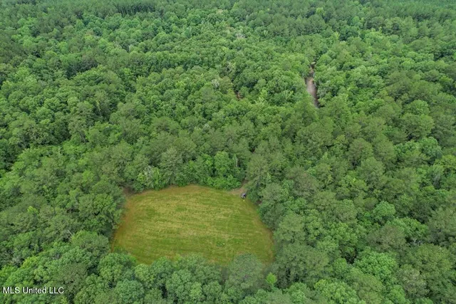 $2,600,000 | 115 Wilderness Run, Hattiesburg, MS 39401