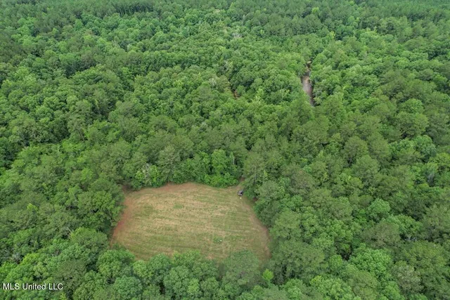 $2,600,000 | 115 Wilderness Run, Hattiesburg, MS 39401