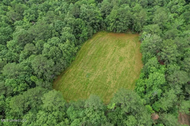 $2,600,000 | 115 Wilderness Run, Hattiesburg, MS 39401