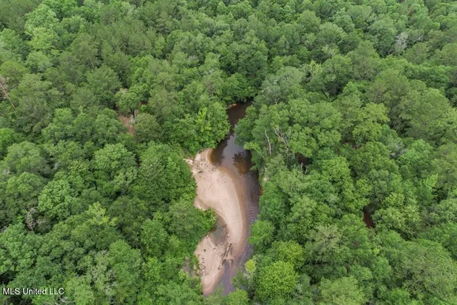 $2,600,000 | 115 Wilderness Run, Hattiesburg, MS 39401