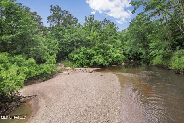 $2,600,000 | 115 Wilderness Run, Hattiesburg, MS 39401
