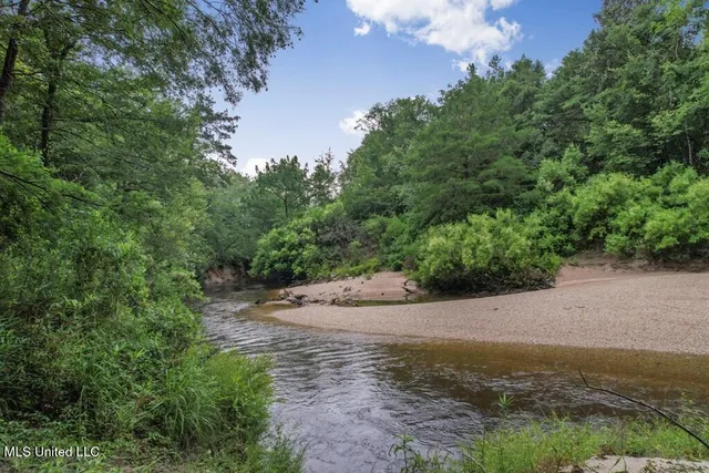 $2,600,000 | 115 Wilderness Run, Hattiesburg, MS 39401