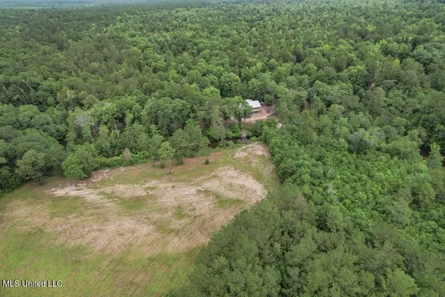 $2,600,000 | 115 Wilderness Run, Hattiesburg, MS 39401
