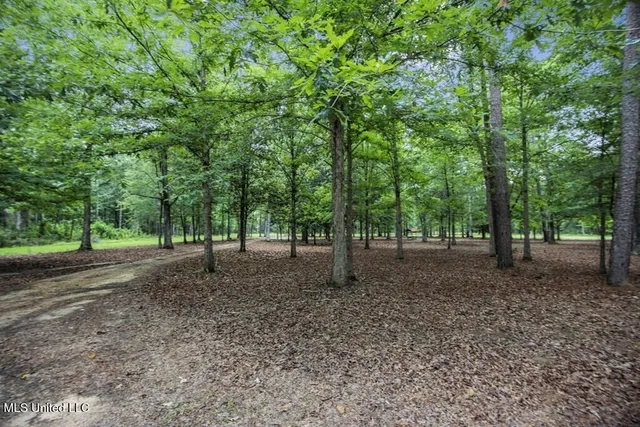 $2,600,000 | 115 Wilderness Run, Hattiesburg, MS 39401
