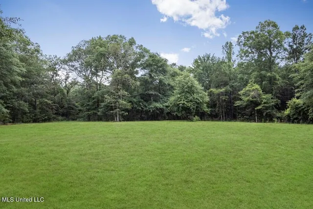 $2,600,000 | 115 Wilderness Run, Hattiesburg, MS 39401