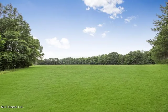 $2,600,000 | 115 Wilderness Run, Hattiesburg, MS 39401