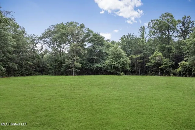 $2,600,000 | 115 Wilderness Run, Hattiesburg, MS 39401