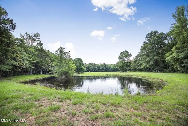 $2,600,000 | 115 Wilderness Run, Hattiesburg, MS 39401