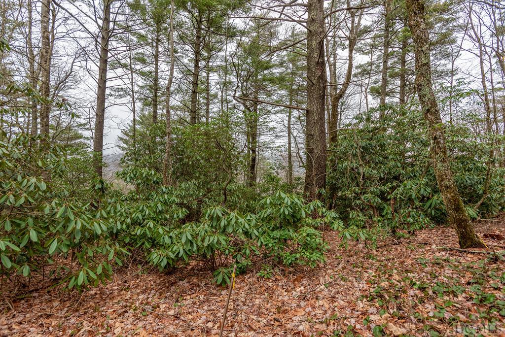 Lot 54 Ledgeview Road Cashiers, NC 28717 - Photo 16 of 16 Gallery Image 16