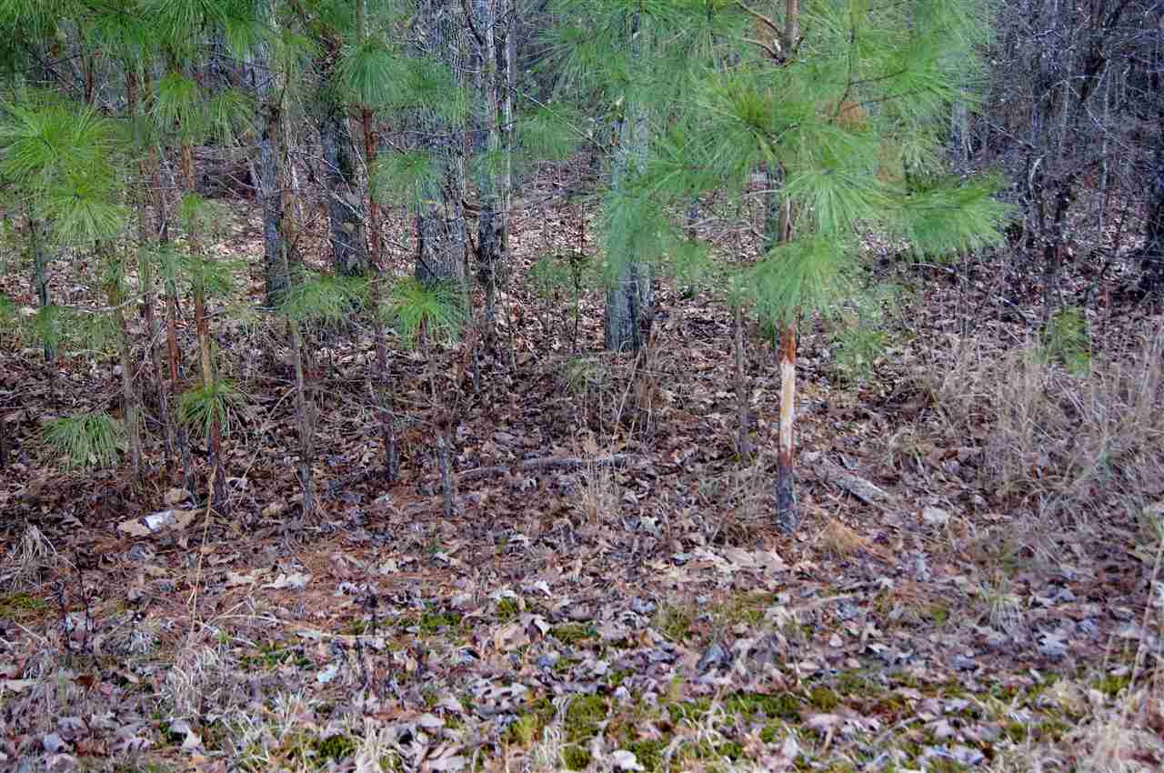 989 Beach Bluff Road Canton, MS 39046 - Photo 11 of 22 Photo 11