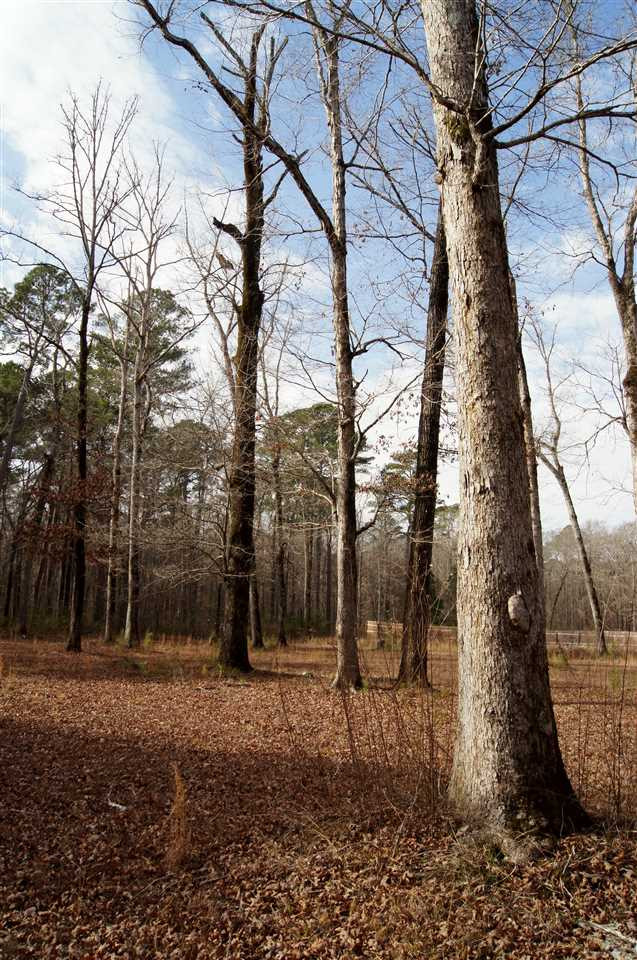 989 Beach Bluff Road Canton, MS 39046 - Photo 13 of 22 Photo 13