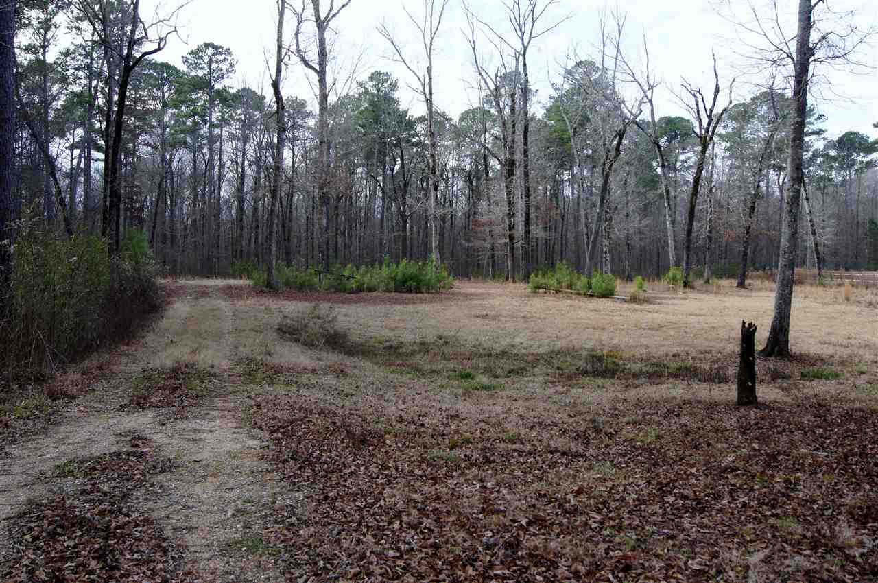 989 Beach Bluff Road Canton, MS 39046 - Photo 8 of 22 Photo 8