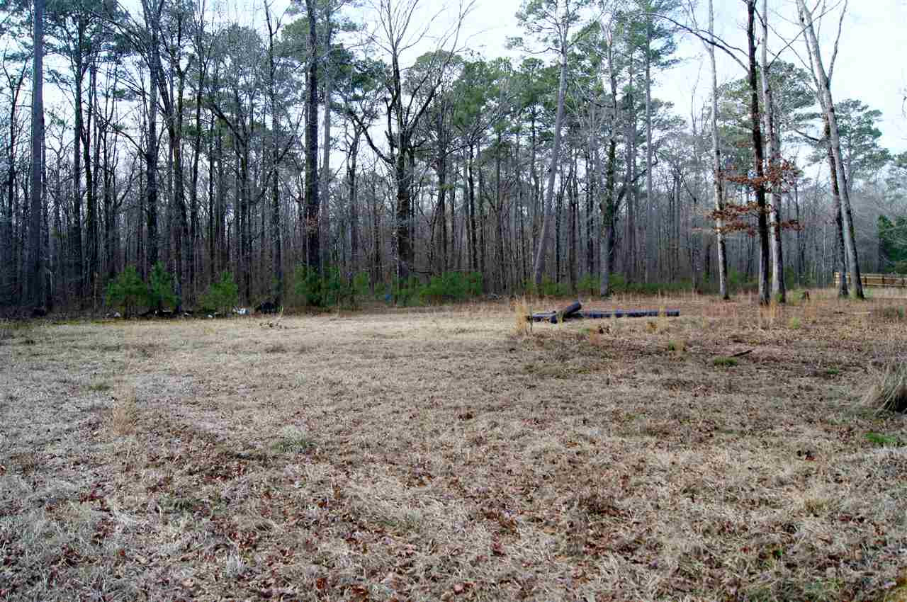 989 Beach Bluff Road Canton, MS 39046 - Photo 10 of 22 Photo 10