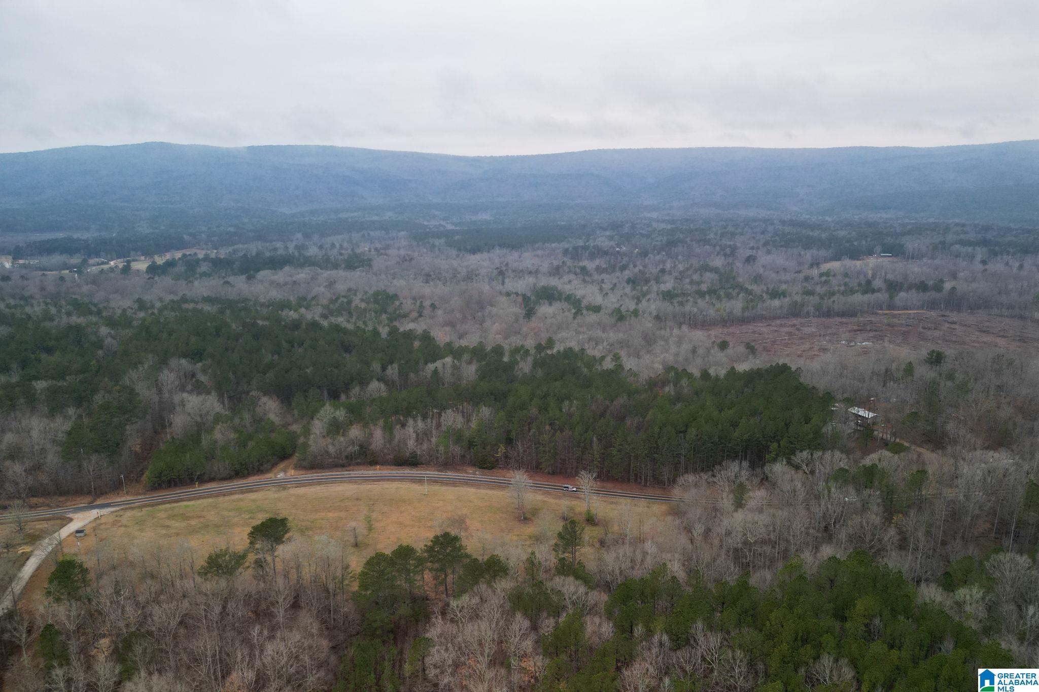 0 Highway 49 Lineville, AL 36266 - Photo 5 of 18