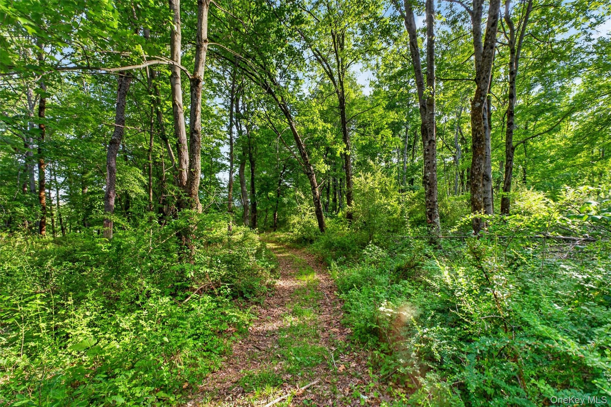 129 Mallory Road Verbank, NY 12585 - Photo 46 of 50