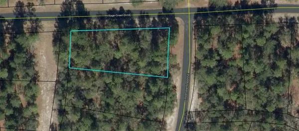 $38,000 | Lot 617 Coopers Landing Drive Northeast, Townsend, GA 31331